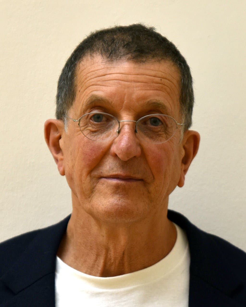 Antony Gormley in round glasses, with close-cropped dark hair.