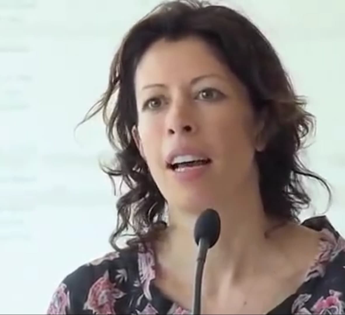 Cecily Brown speaking into a microphone at a press conference.