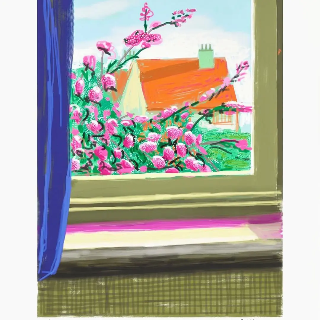 A David Hockney iPad drawing: the view through a window, with a blue curtain at the left, a pink flowering bush in front of a house with an orange roof, and a broad sill in the foreground