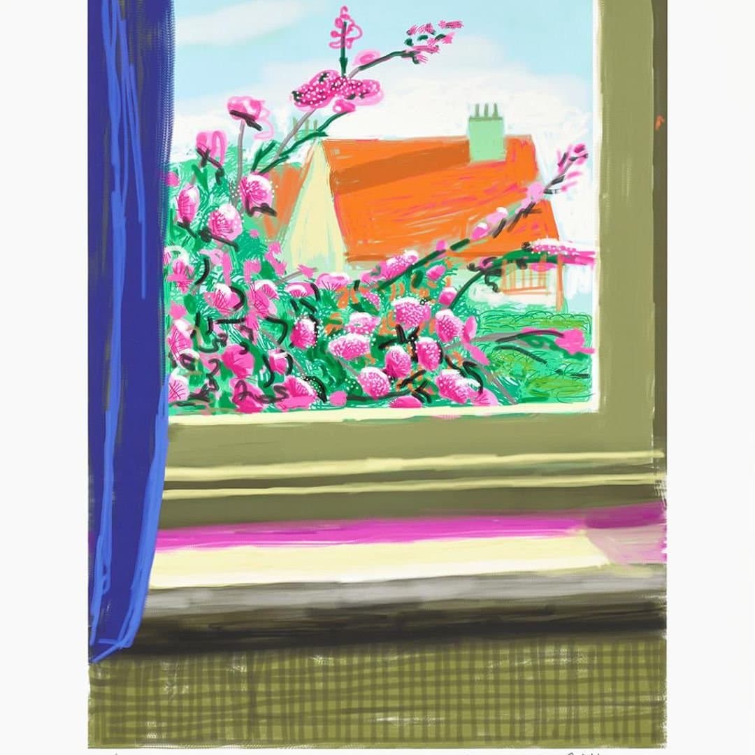 Untitled No. 778, My Window